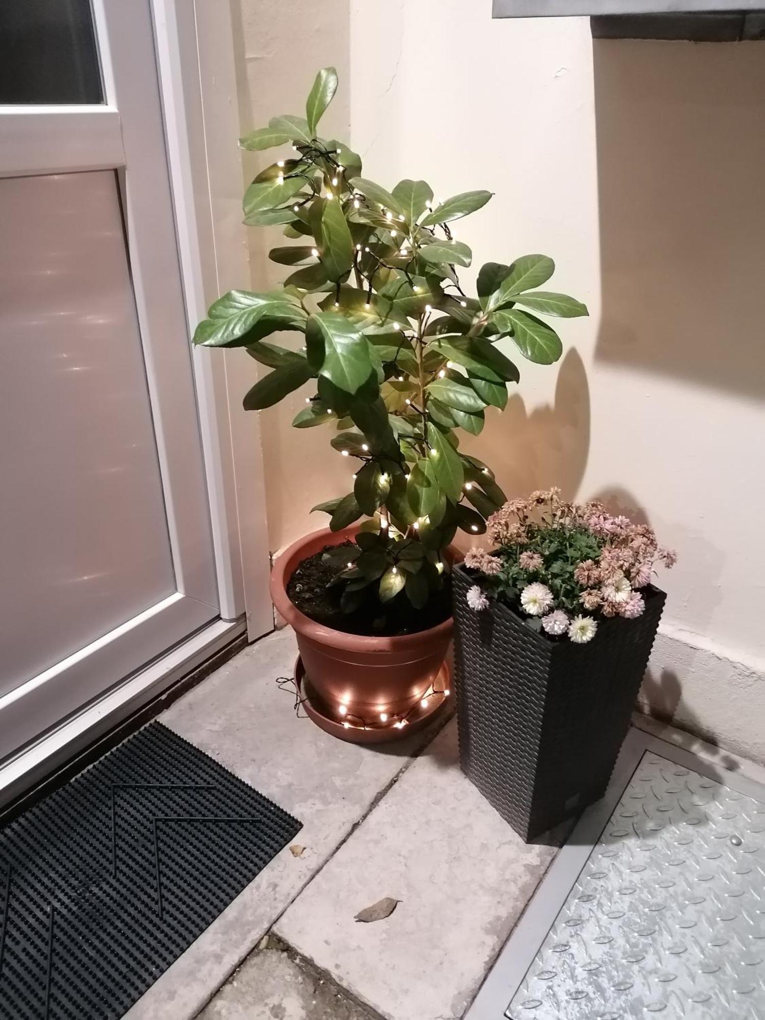 Mohacs Korona Apartman Екстериор снимка